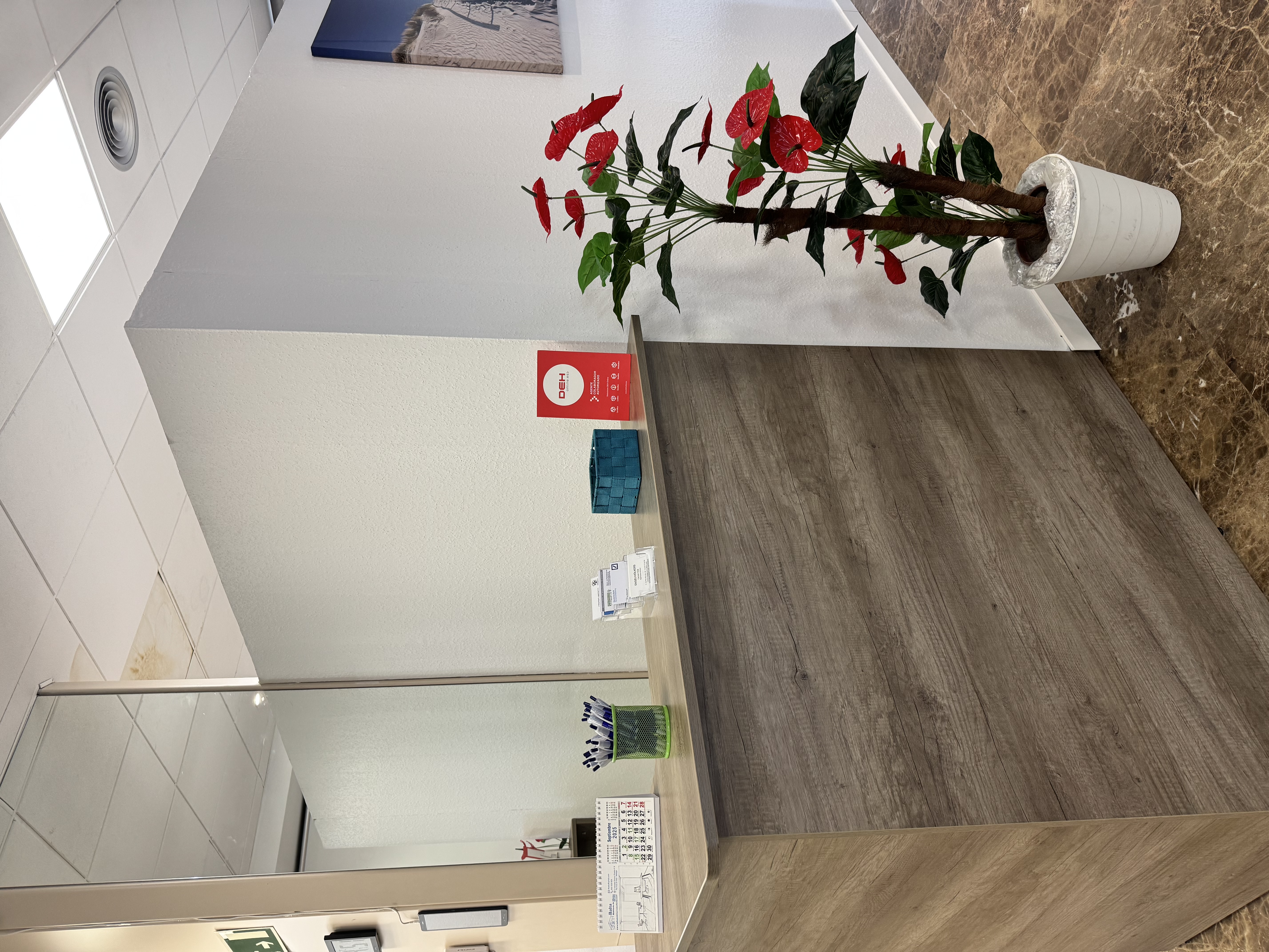 Empfang PEHOMA Consult